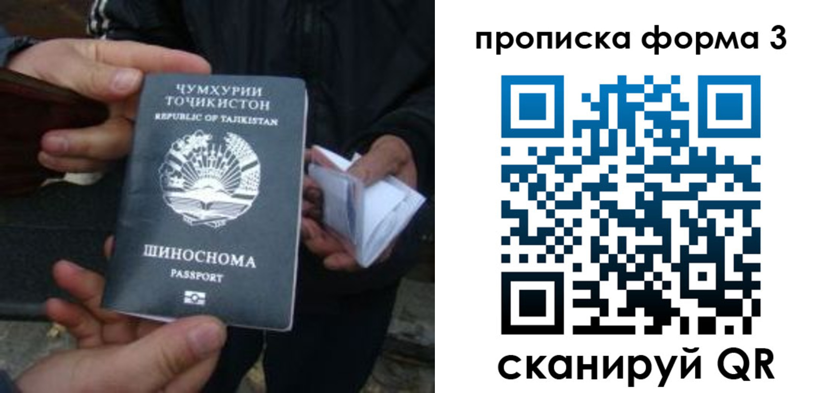 прописка 2025 в Новоаннинском